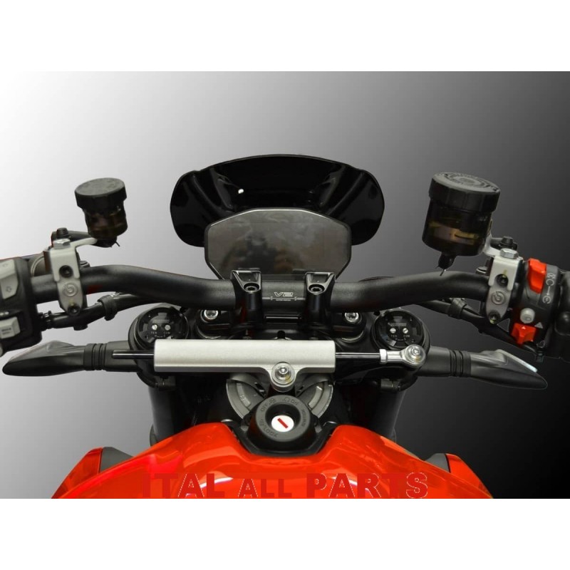 Saute Vent Sport Ducabike Cup Pour Ducati Streetfighter V